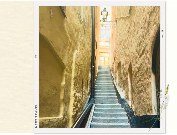 ガムラスタンのモーテン・トローツィグ通り