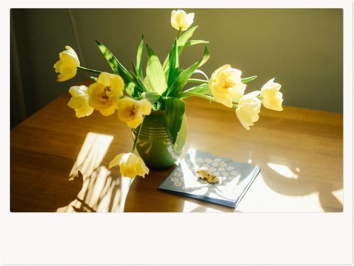 マリメッコの紙ナプキン