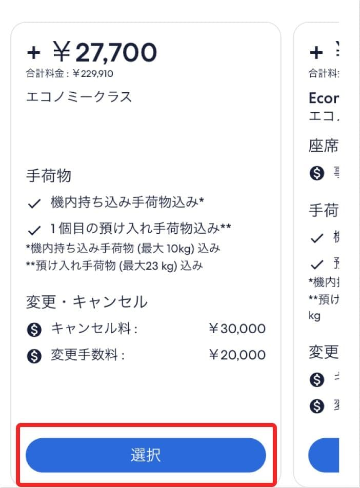 エクスペディアの往路便の荷物等の詳細