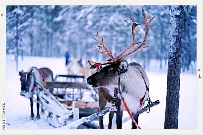 フィンランドのサンタクロース村の冬